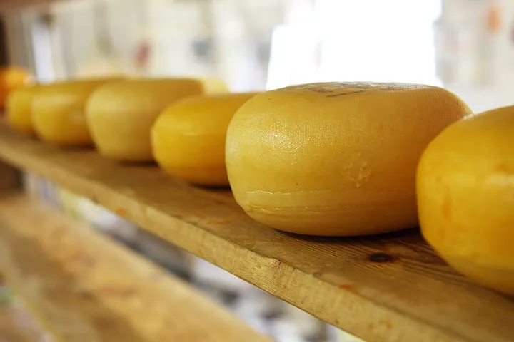 В Оренбуржье обнаружили сыр, выпущенный в октябре 2021 года