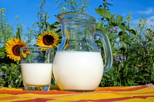 Россельхознадзор: Из Оренбуржья пытались вывезти 20 тонн молока без документов