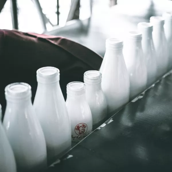 Оренбургская молочная компания «Степь» планирует выйти на казахстанский рынок